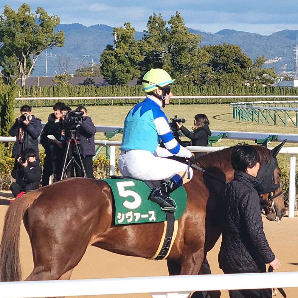 HY 競馬垢
