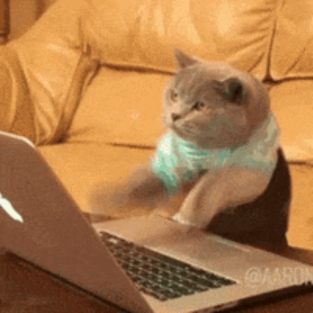 snoopdotcom