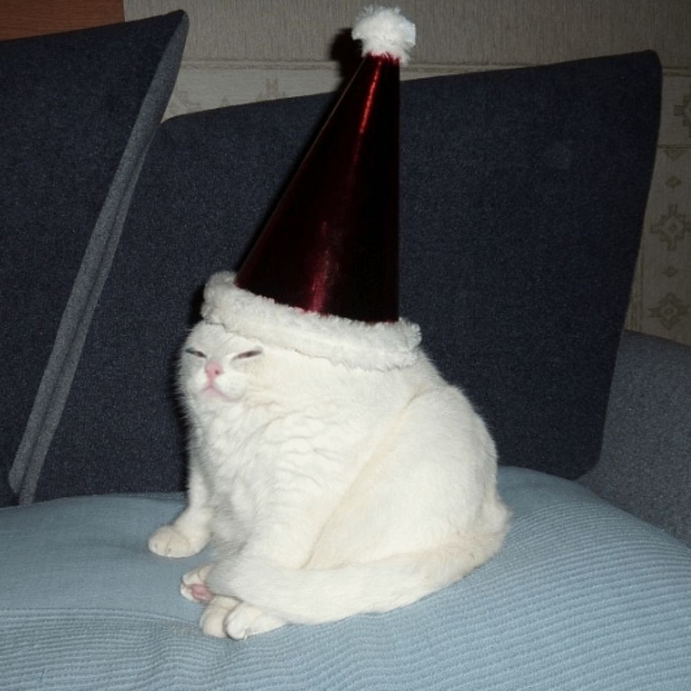 smudgethekat