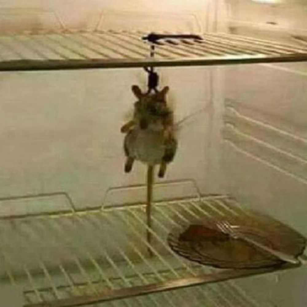 Борат Маргарет Сағдиев