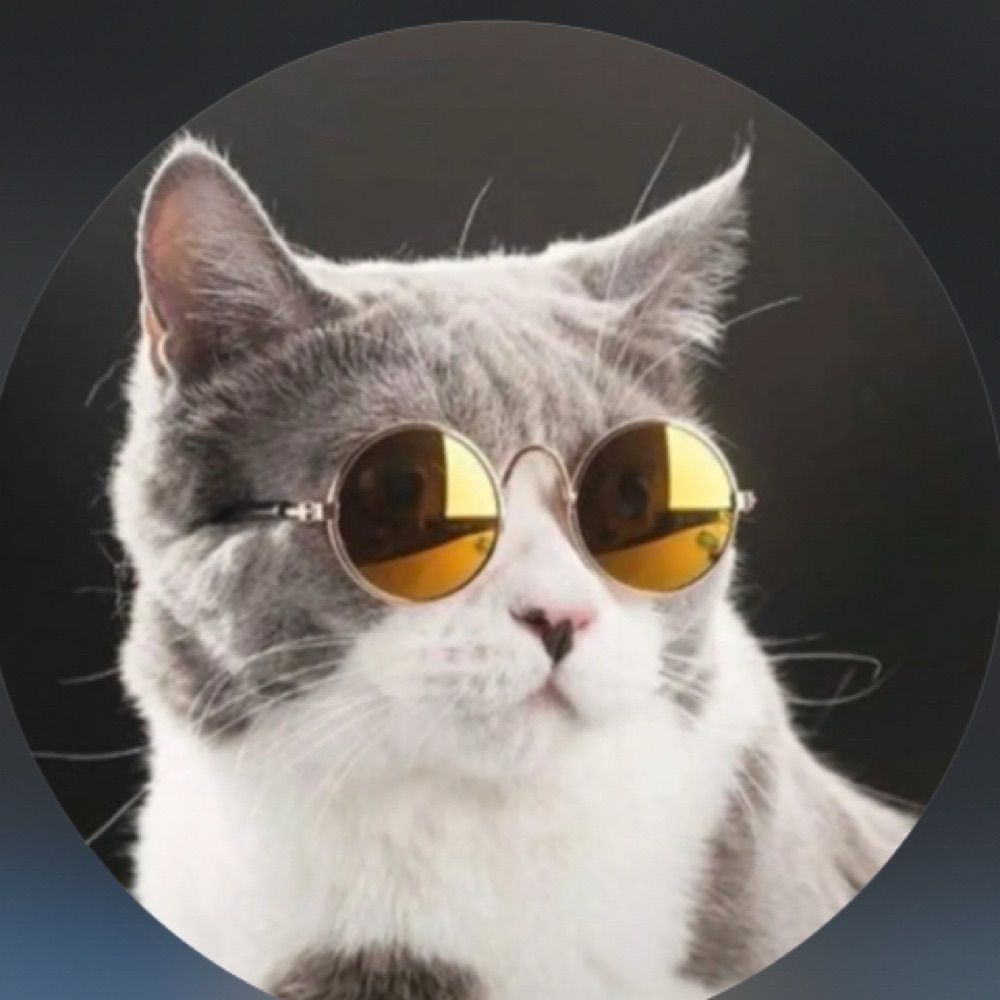Dzogchen Cat