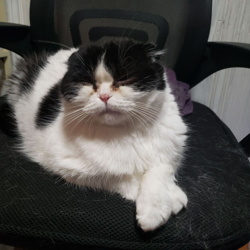 Sam