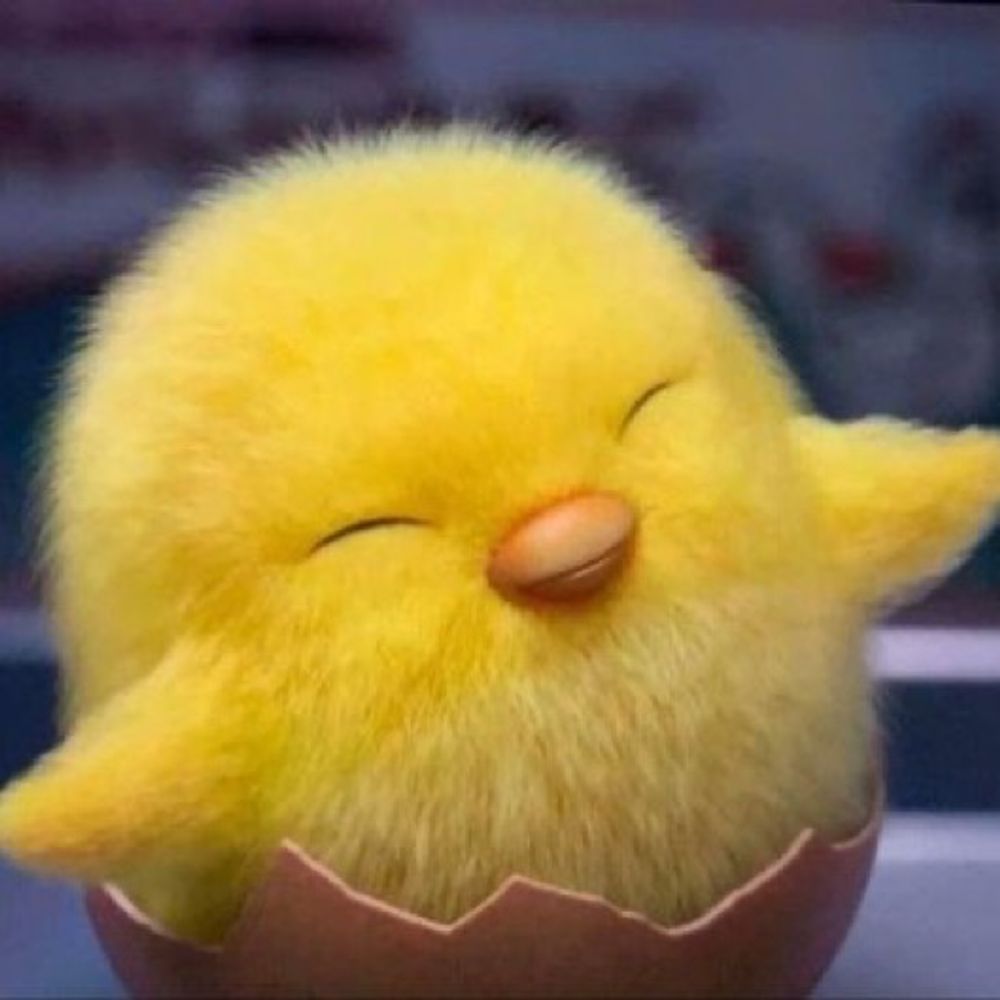 도아