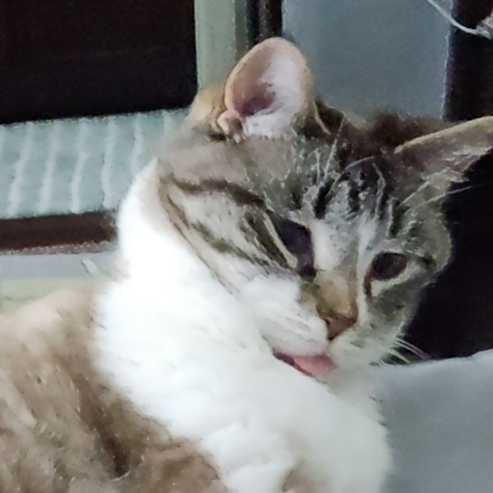 m