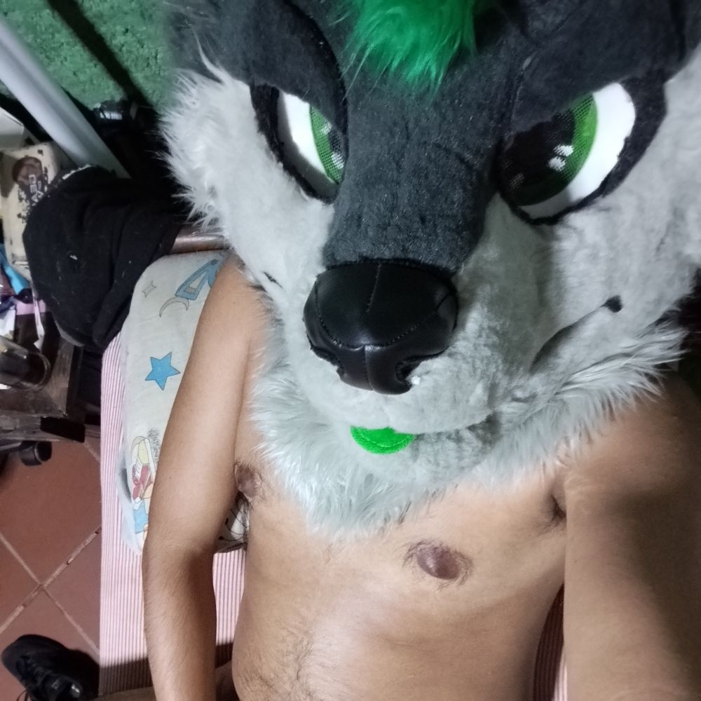 Zack Humphrey Wolf AD 🔜 warning yiff ⚠️