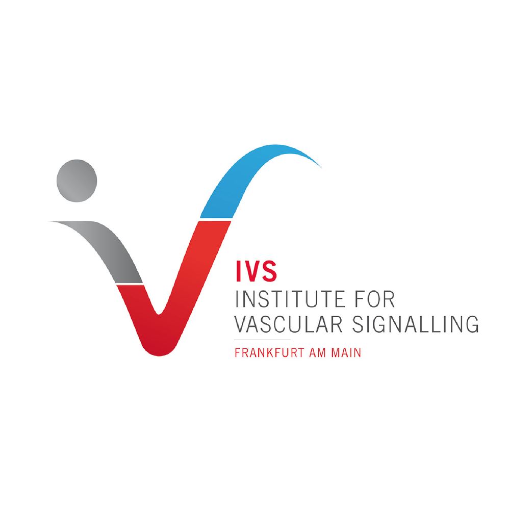 Institute for Vascular Signalling | IVS