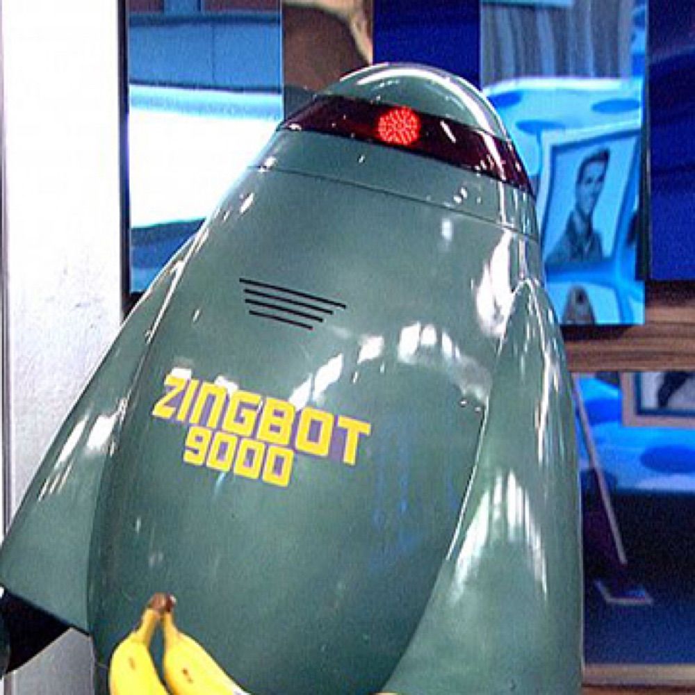 Zingbot