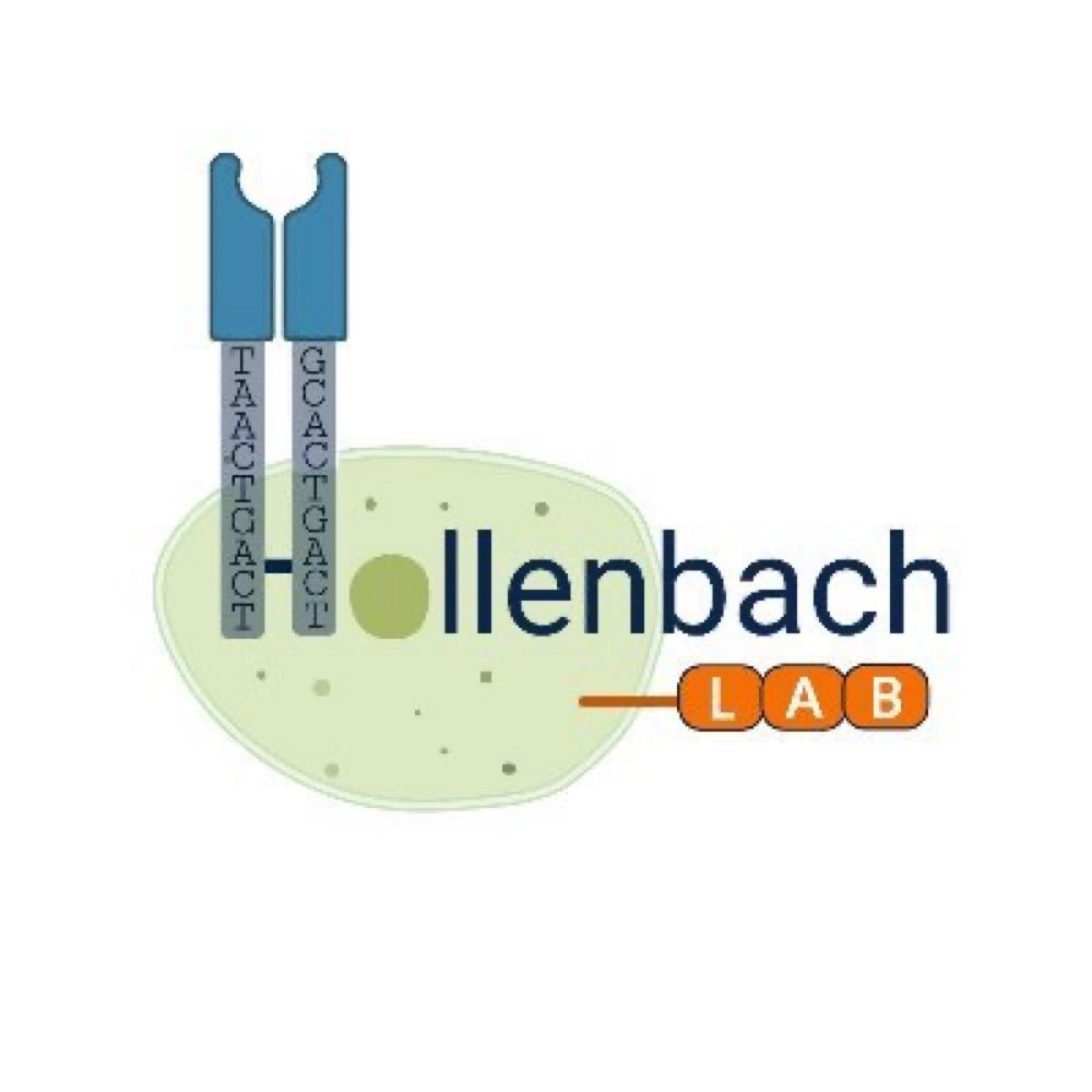 Hollenbach lab