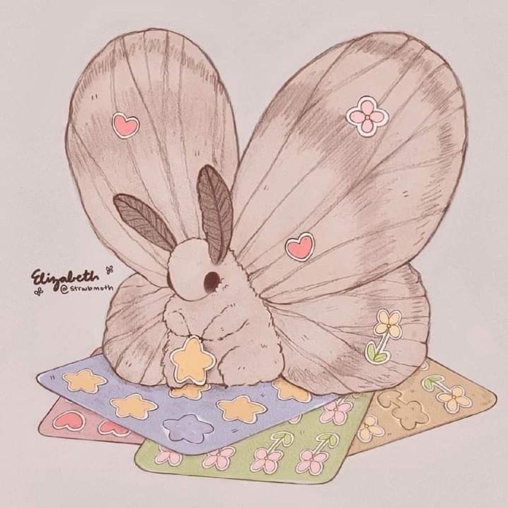 🏳️‍⚧️Rylee🏳️‍⚧️🇵🇸🍉