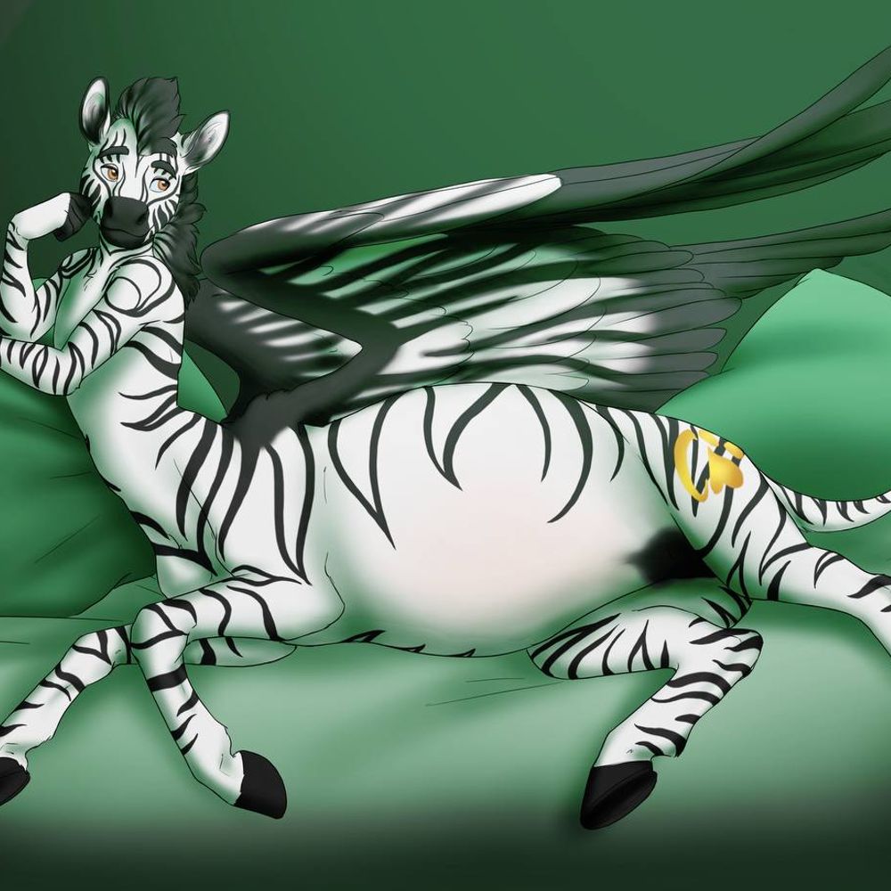 Zebra Thiccei