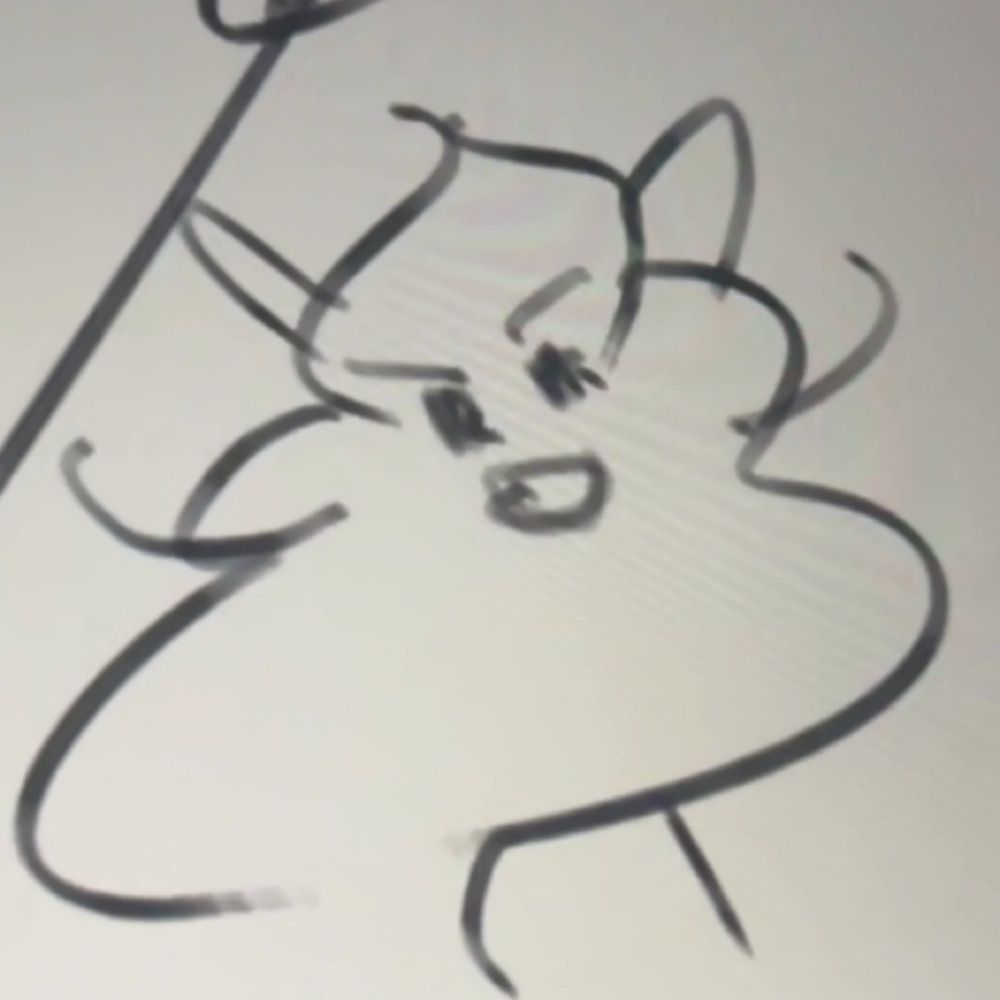 こはく