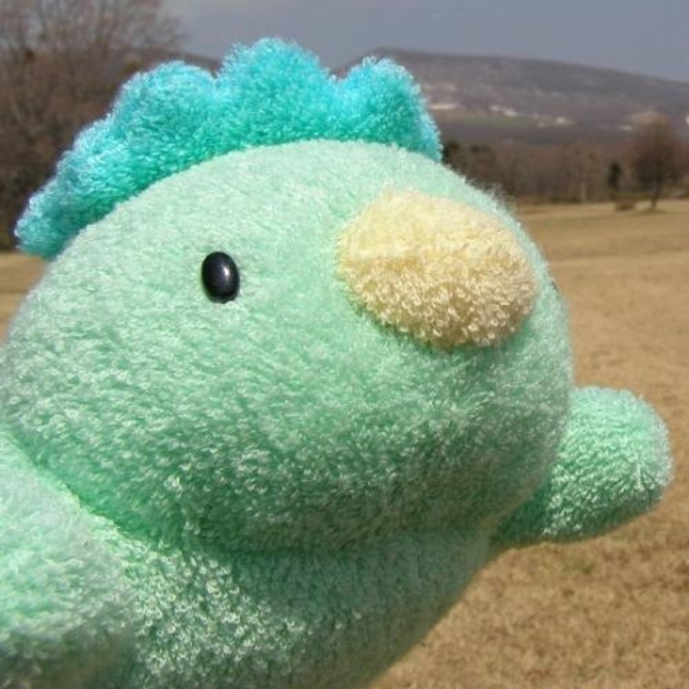 すめしちん🥒