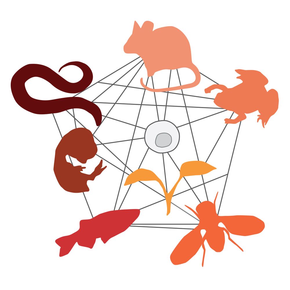 SFBD_BioDev