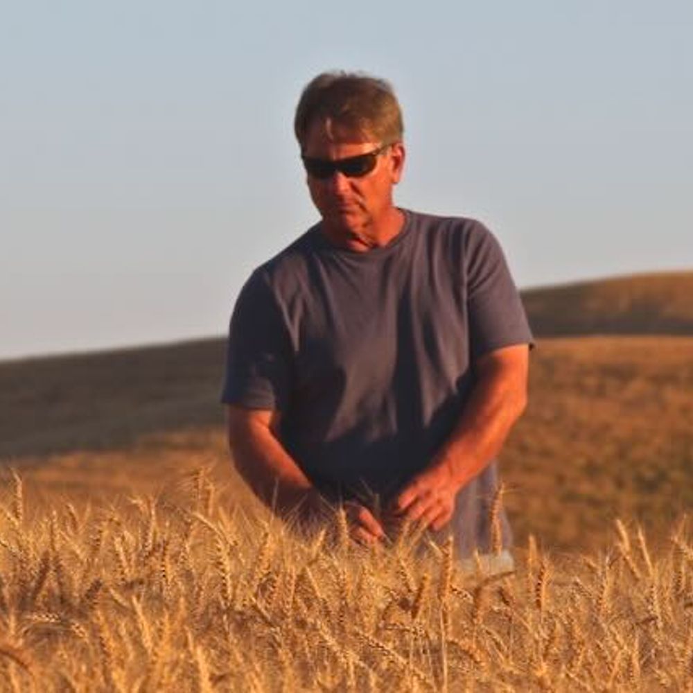 Roy Dube