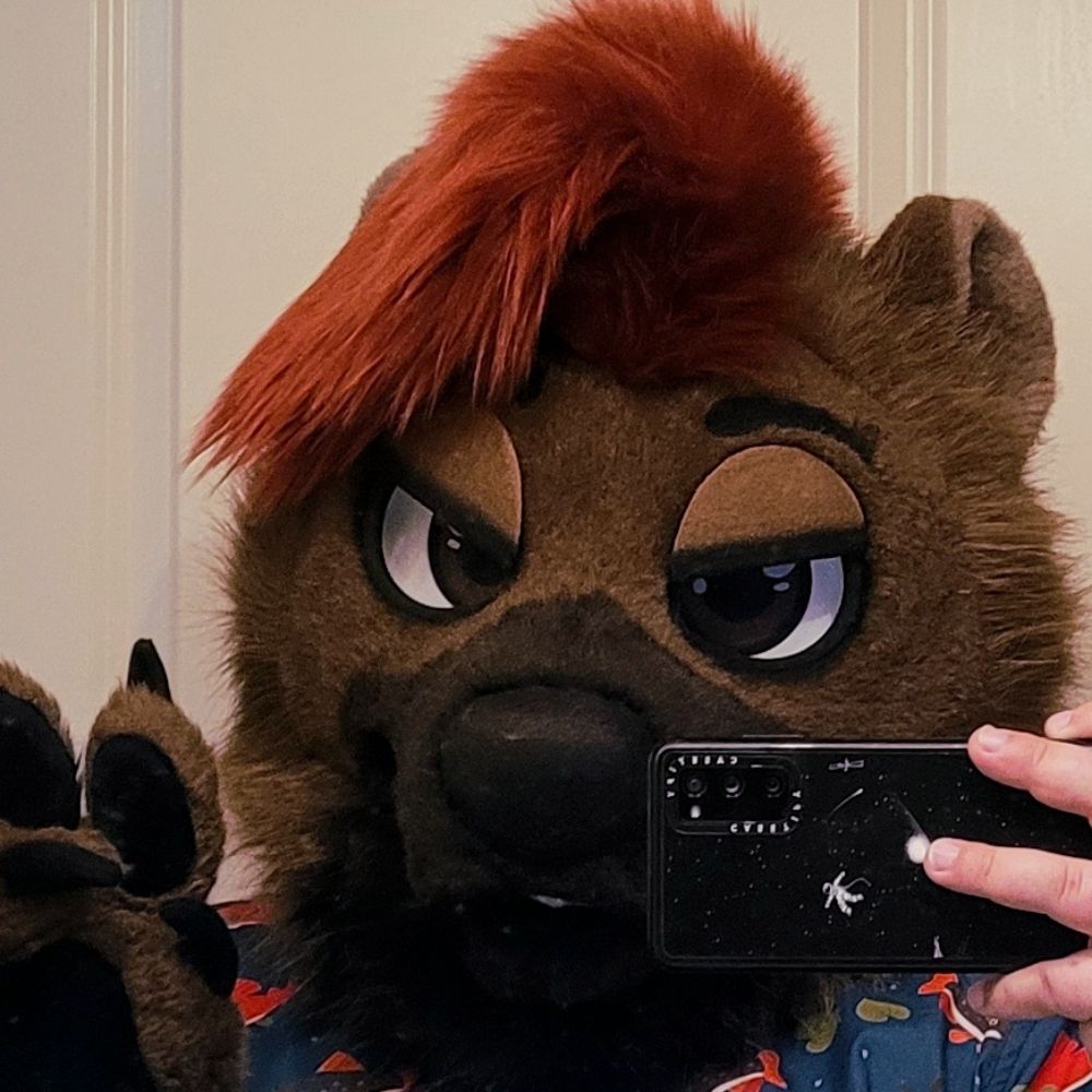 Bear After Dark