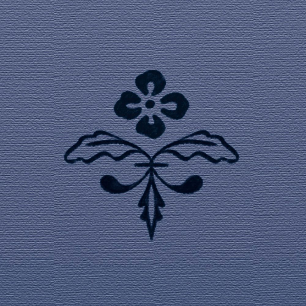 Anne • Bleupoke
