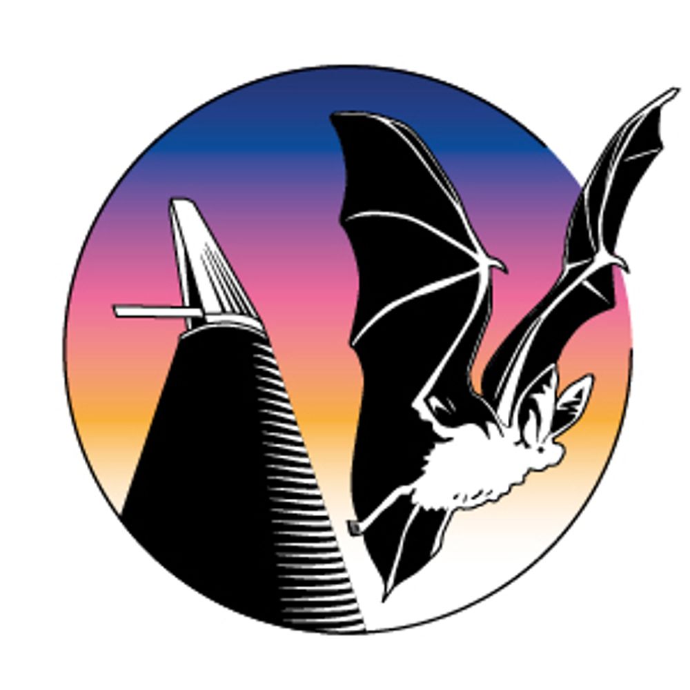 Kent Bat Group