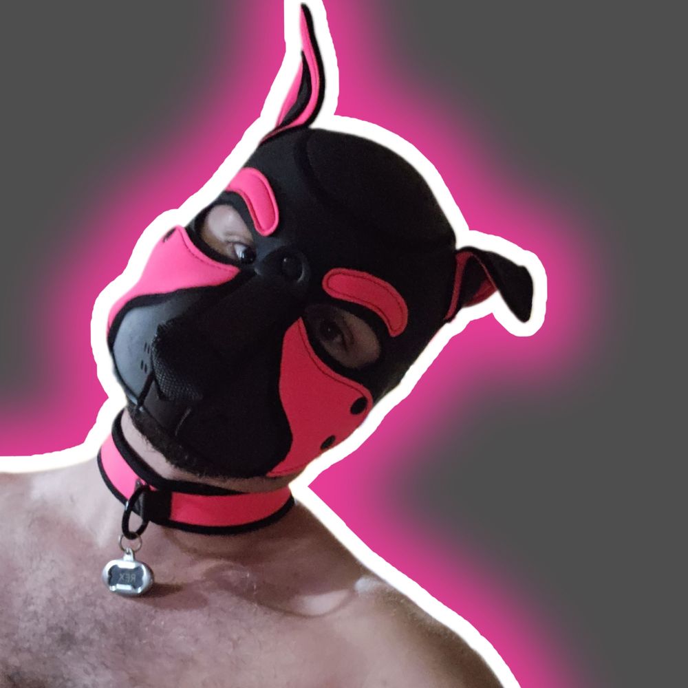 Pup Rex