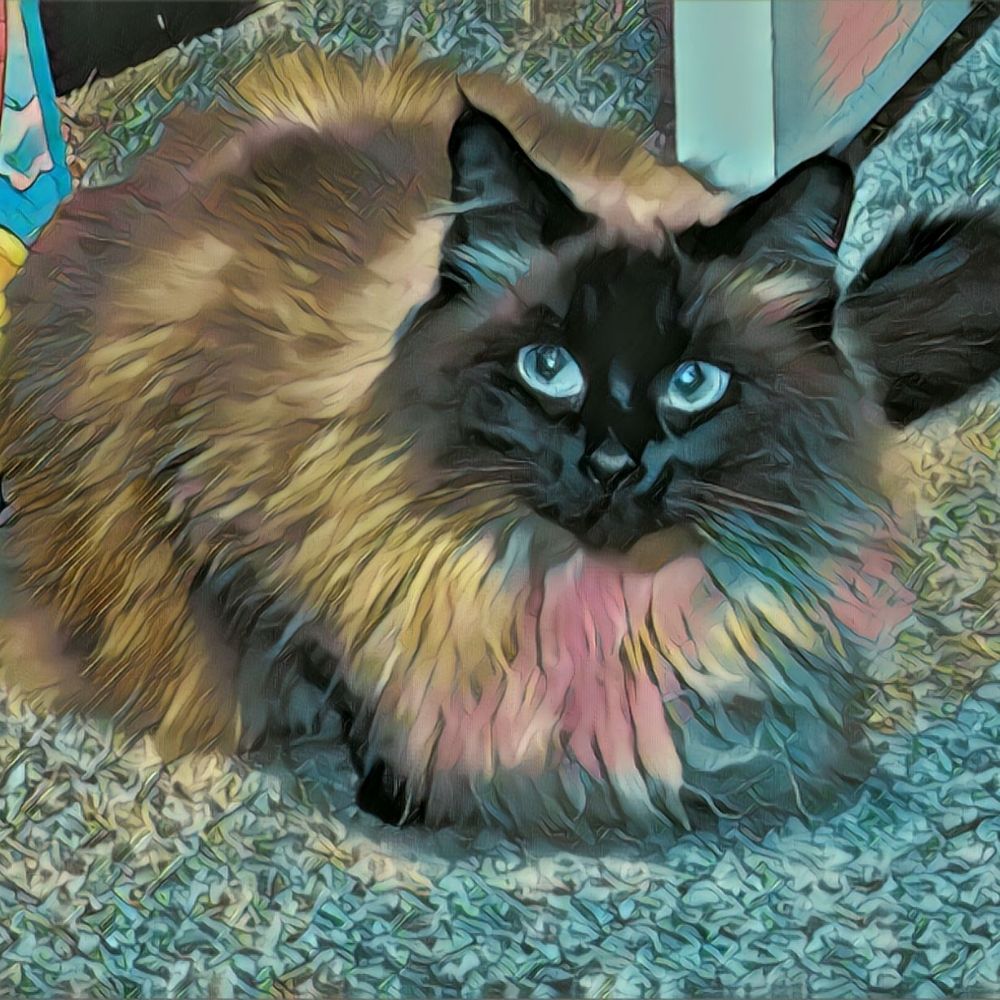 Sailor Calypso