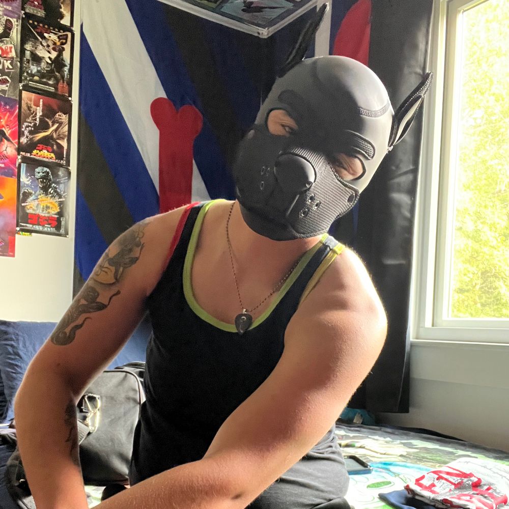 Jagger_Pawz