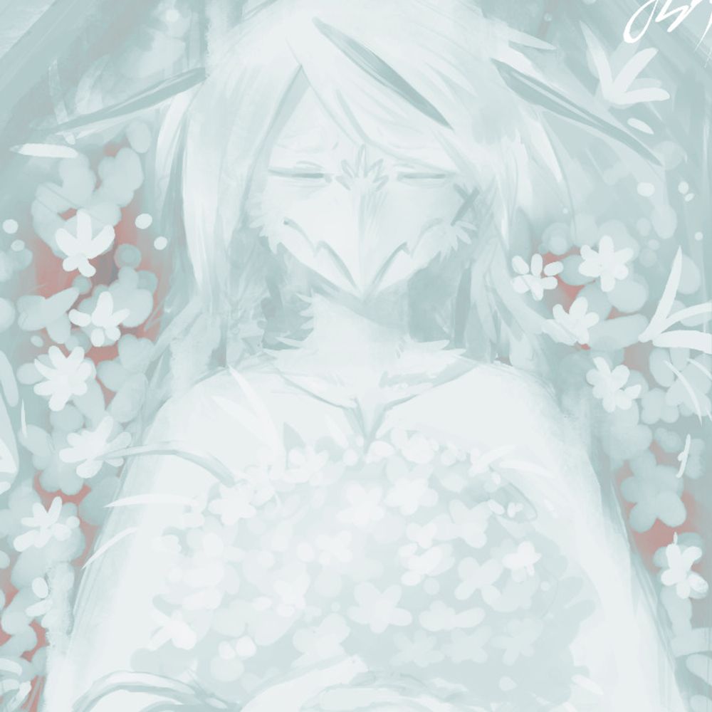 貓大