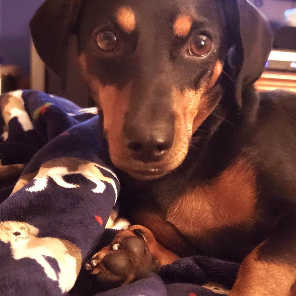 Ellie