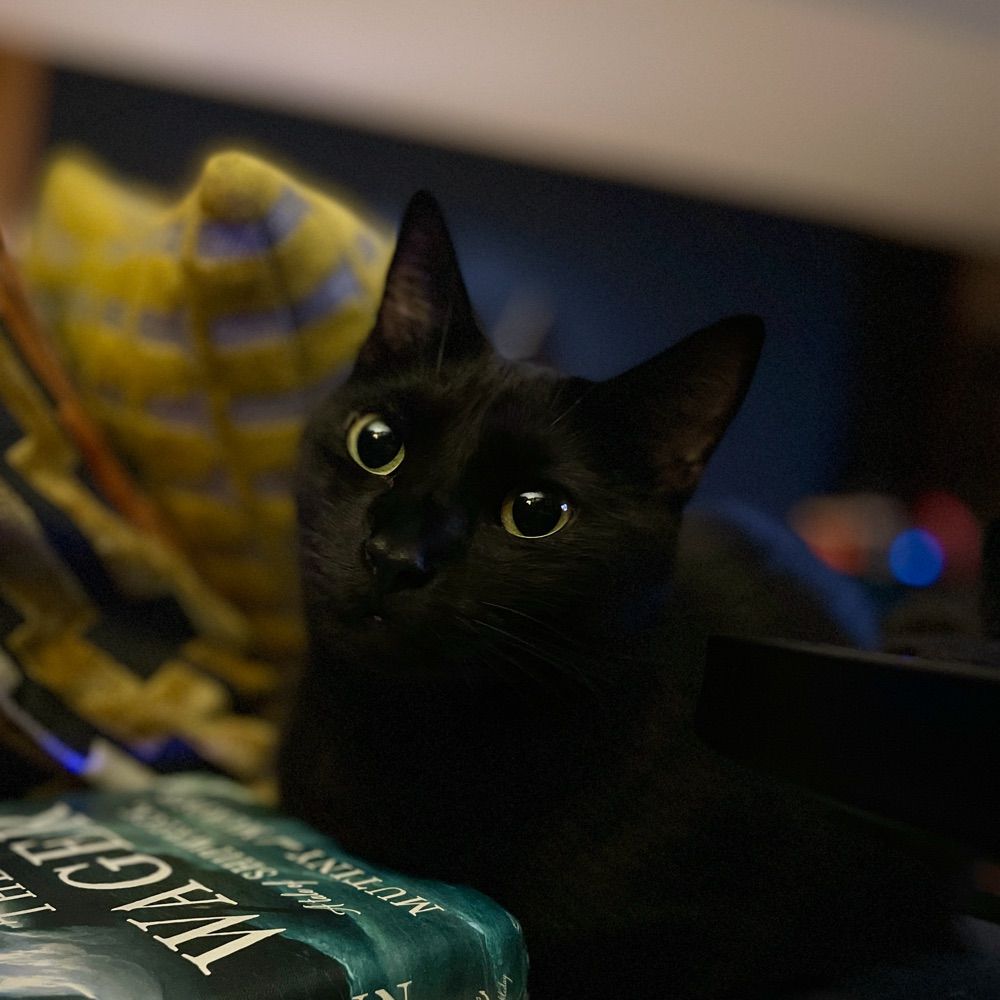Kat