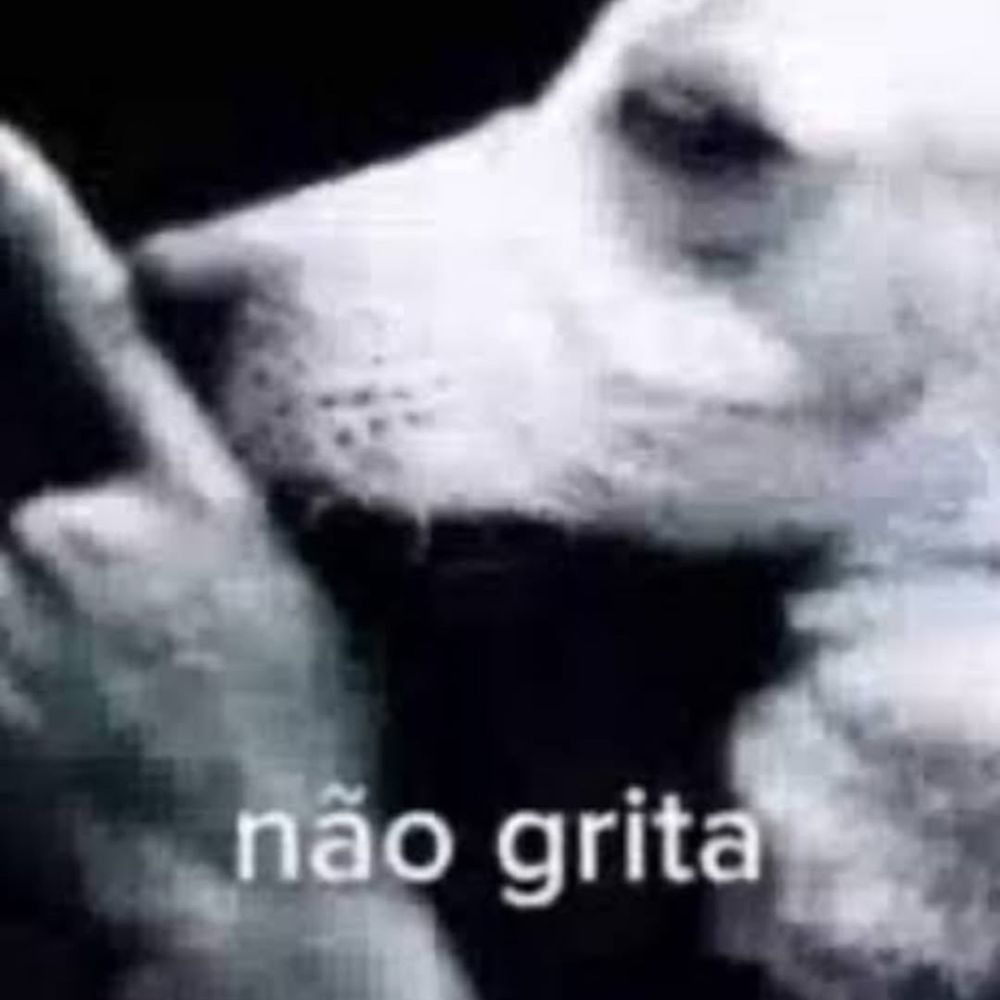 fabi