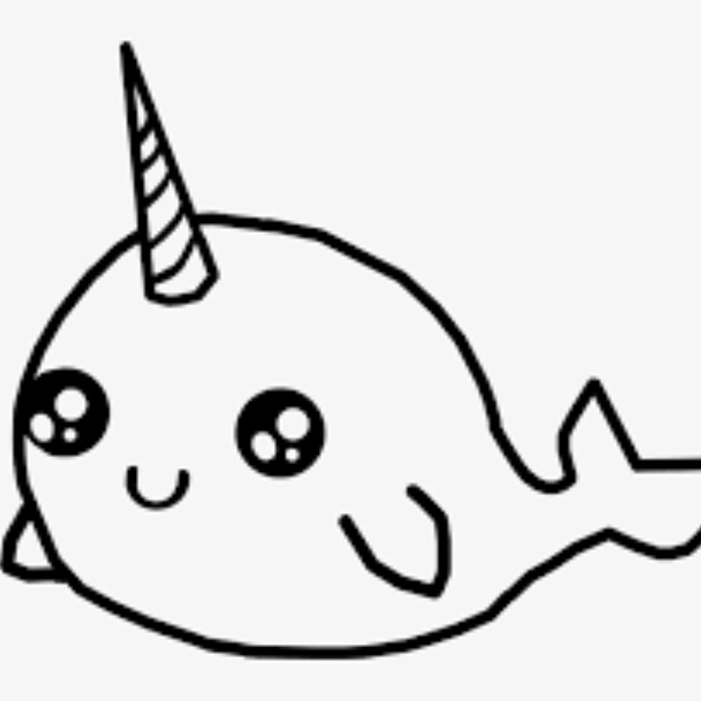 Narwhal