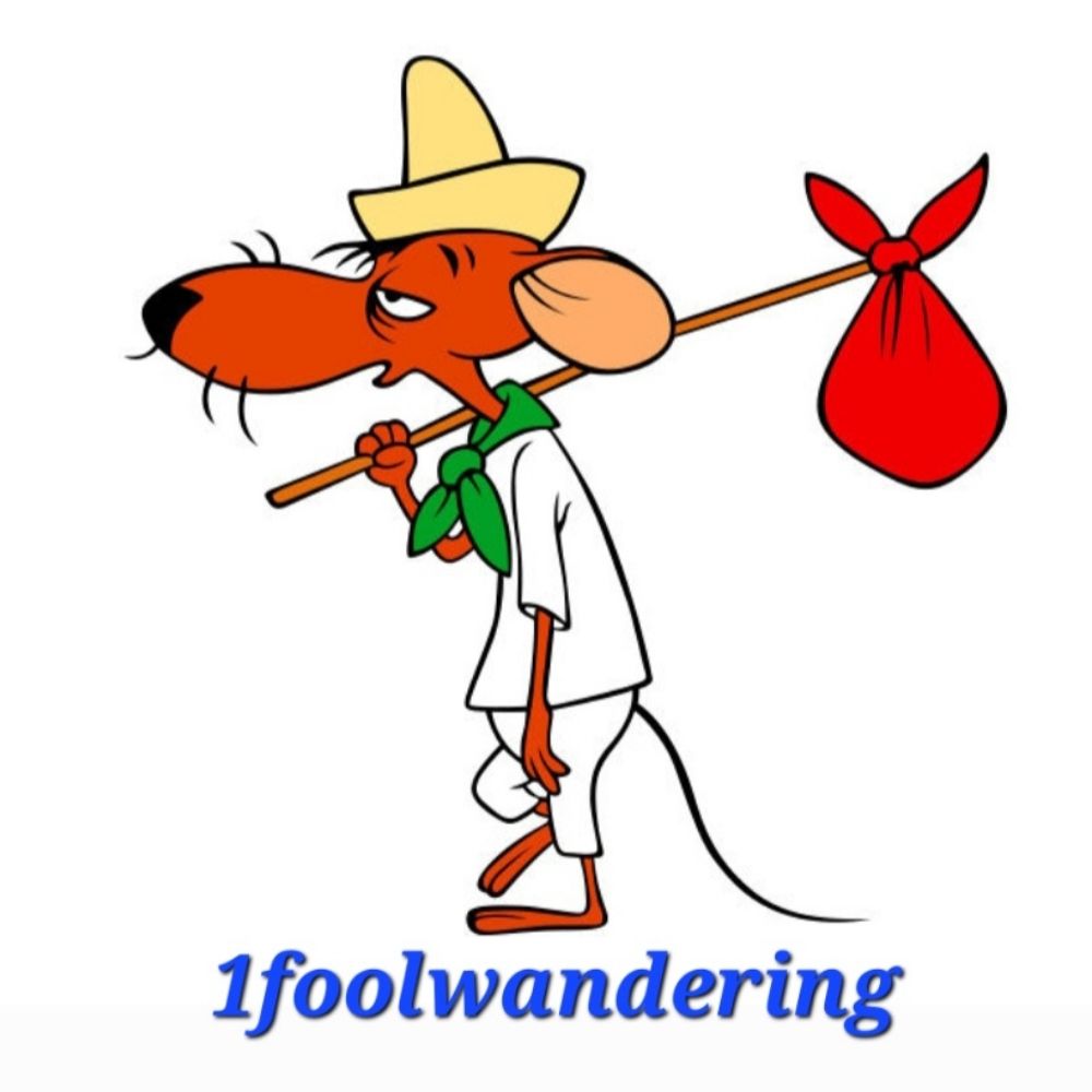 1 fool wandering