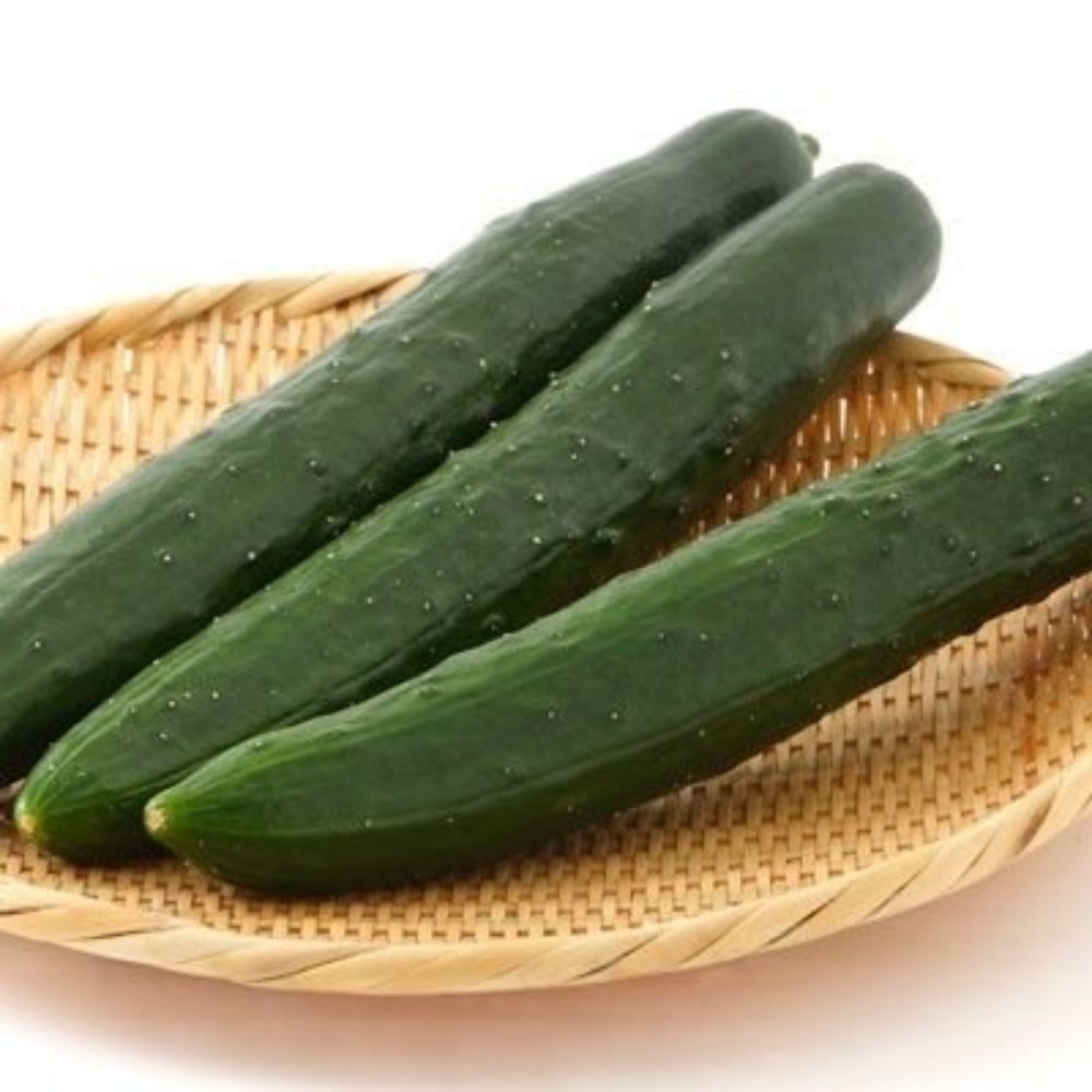 🥒キューちゃん