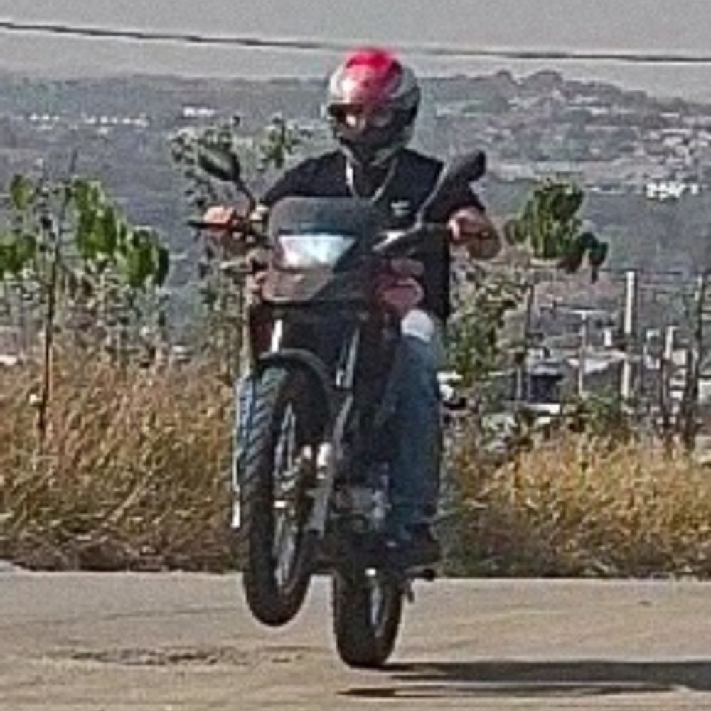 Flávio