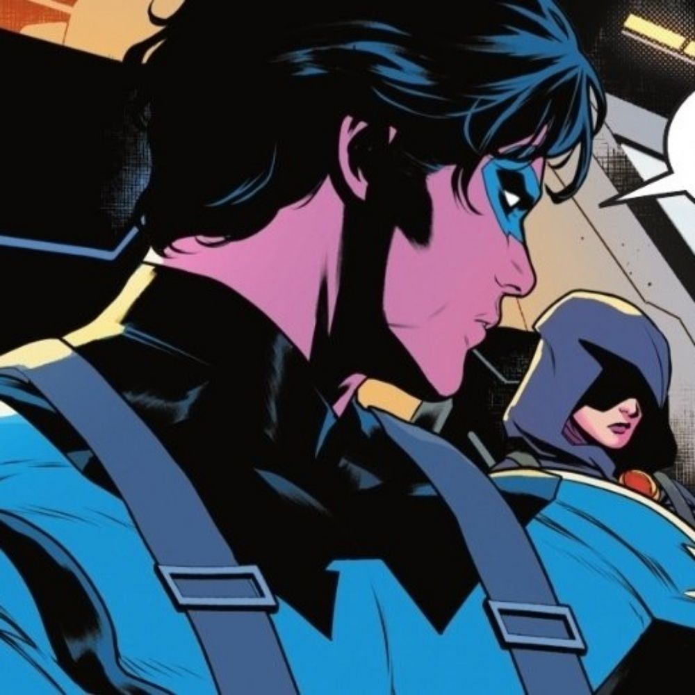 Most insane nightwing enjoyer