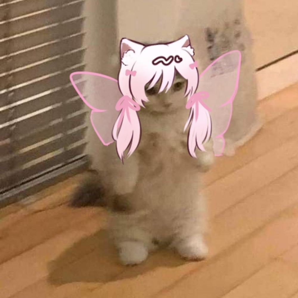Kitty Xue Yang 🎀😼🐾 ARC 1st Nyapact