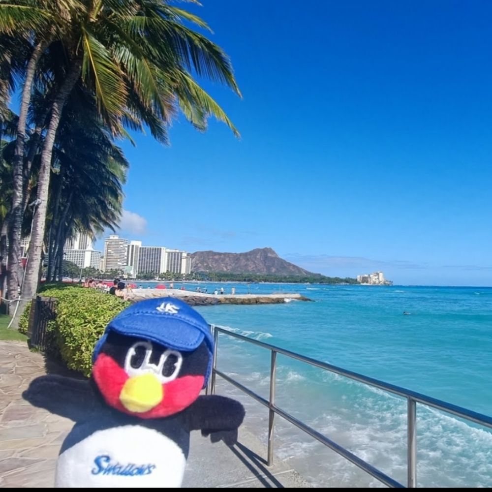ツバチカオ