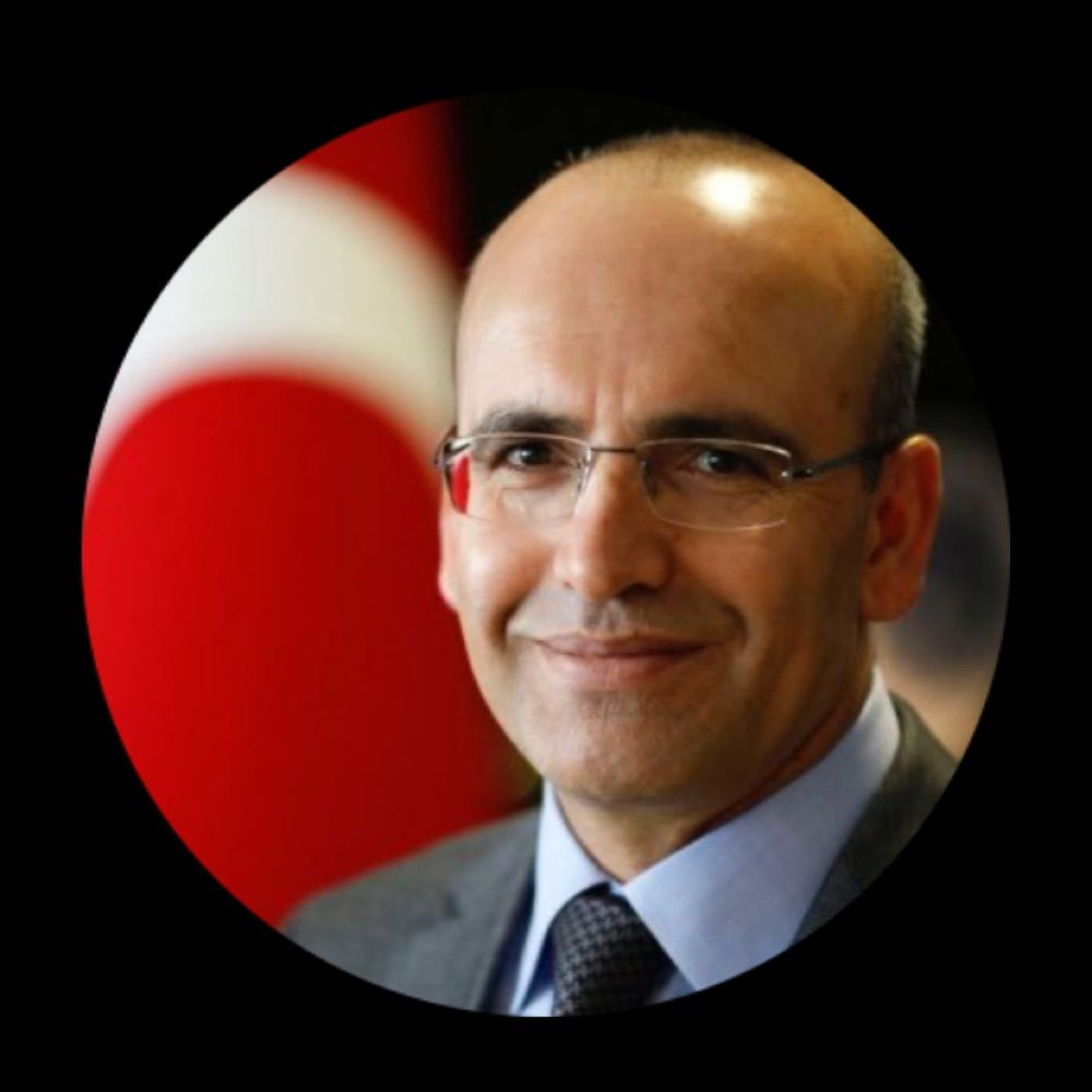 Mehmet Şimşek ( Bakan olan )