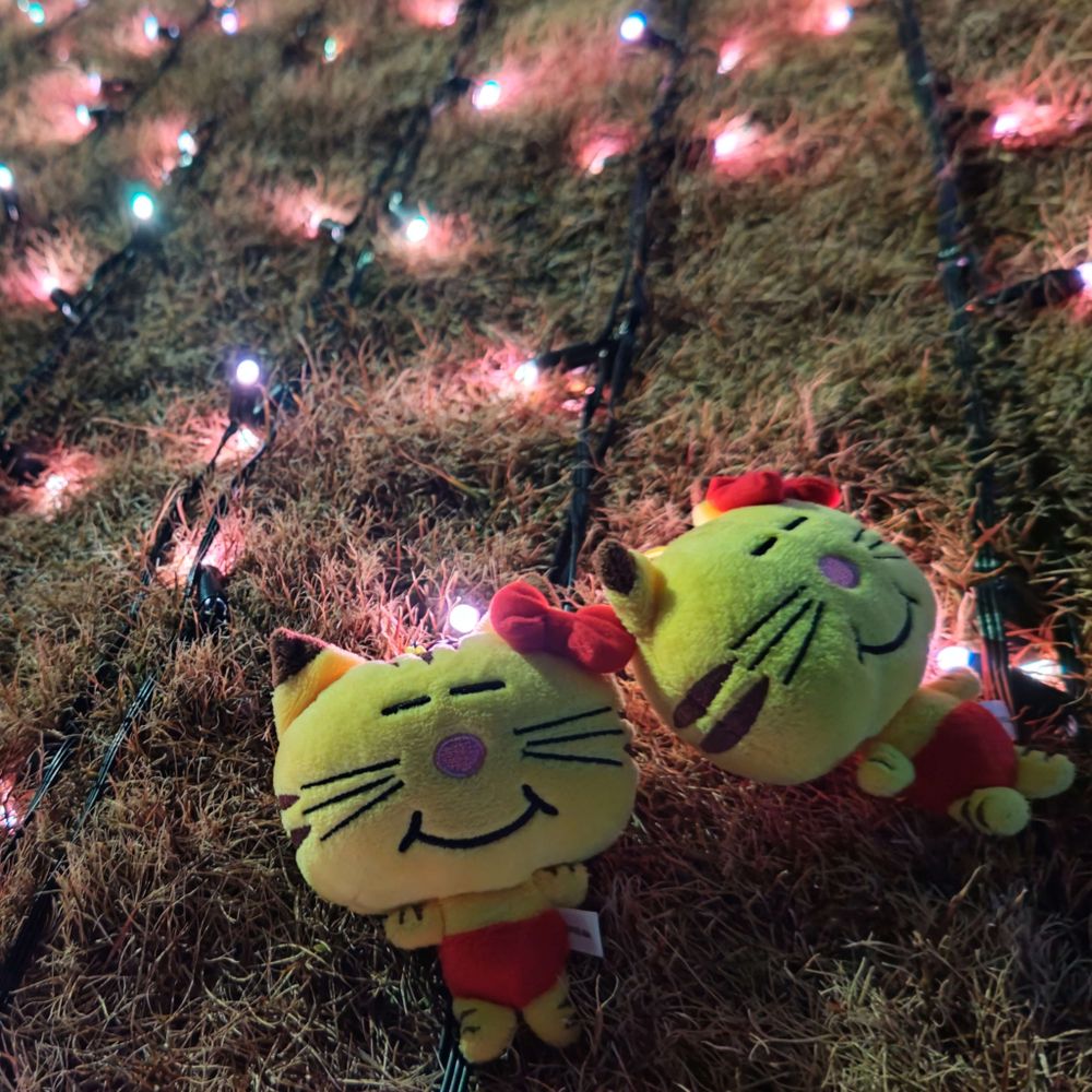 りちょん