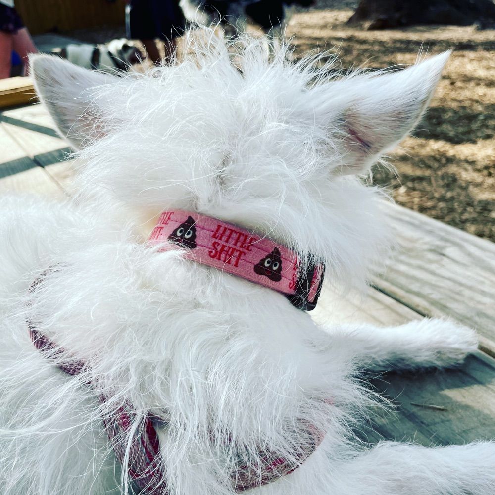 Fuzzy Matters