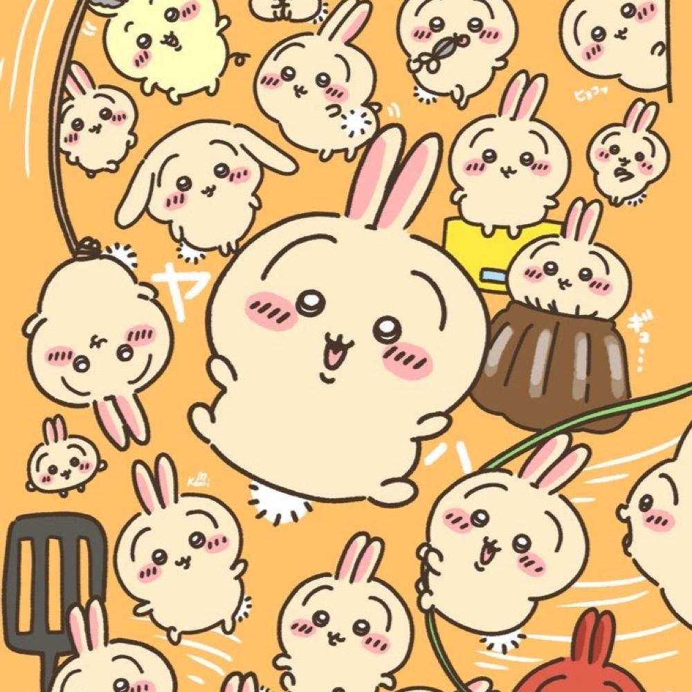 かおり🐰