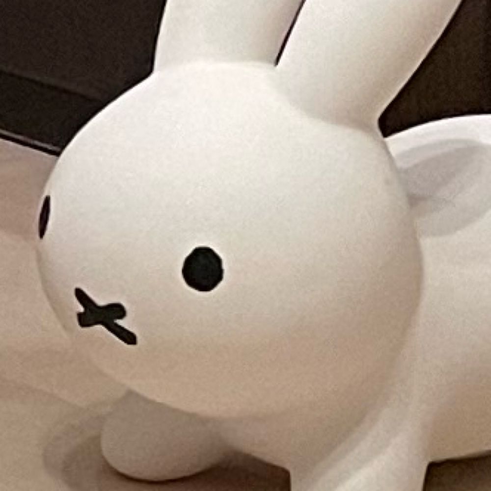 わこ