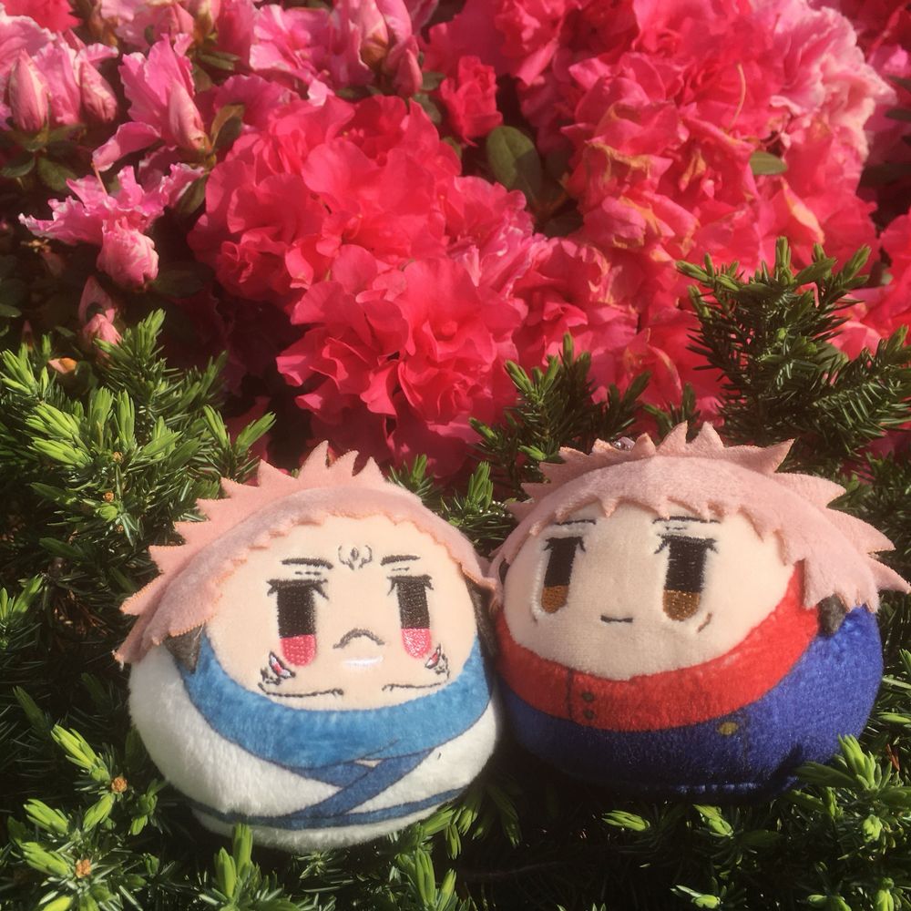 さきさか