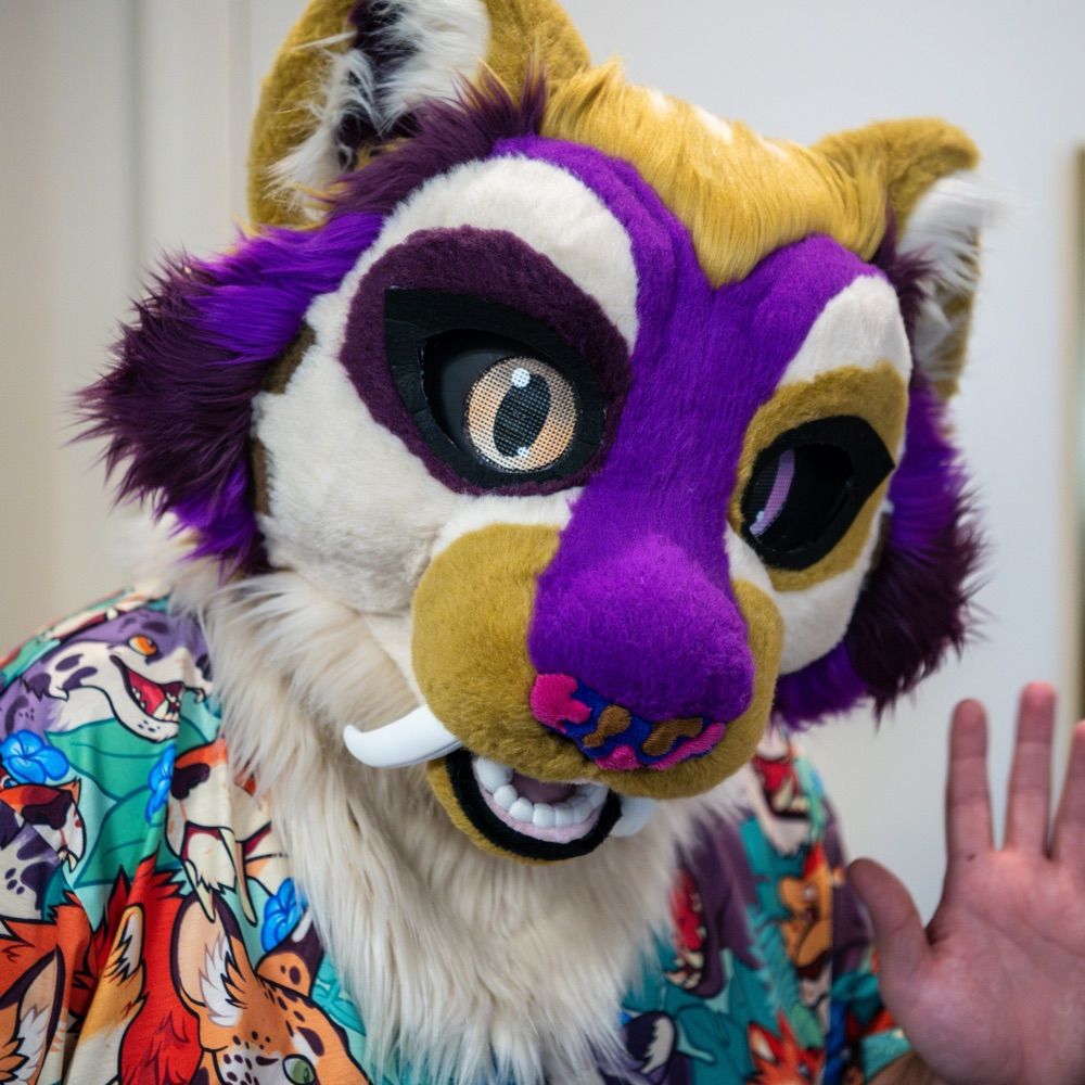 PjSabertoof