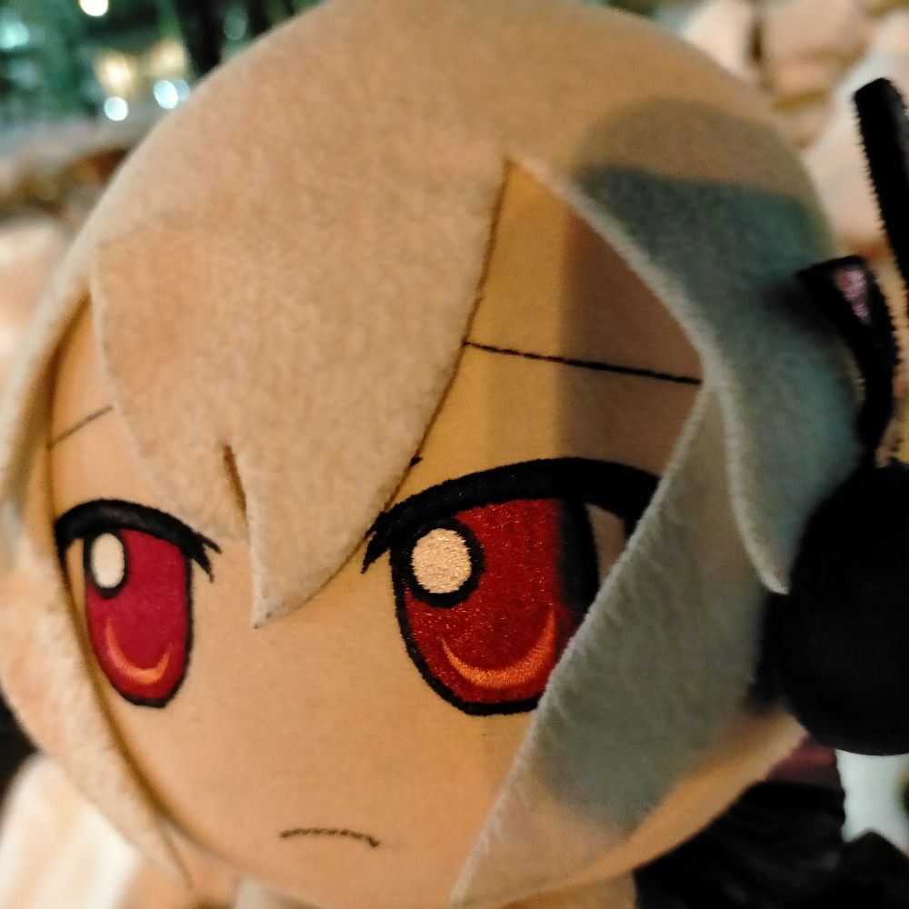 とあるハク姐ーさん