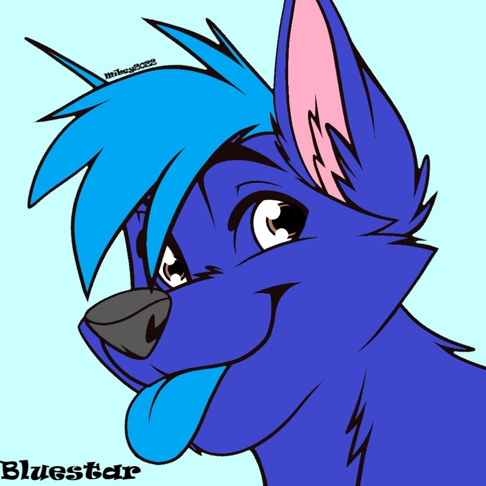 Profile picture bluwuestarfen.bsky.social