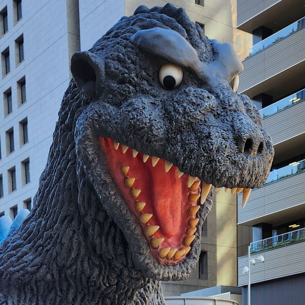 ニャンコ先生