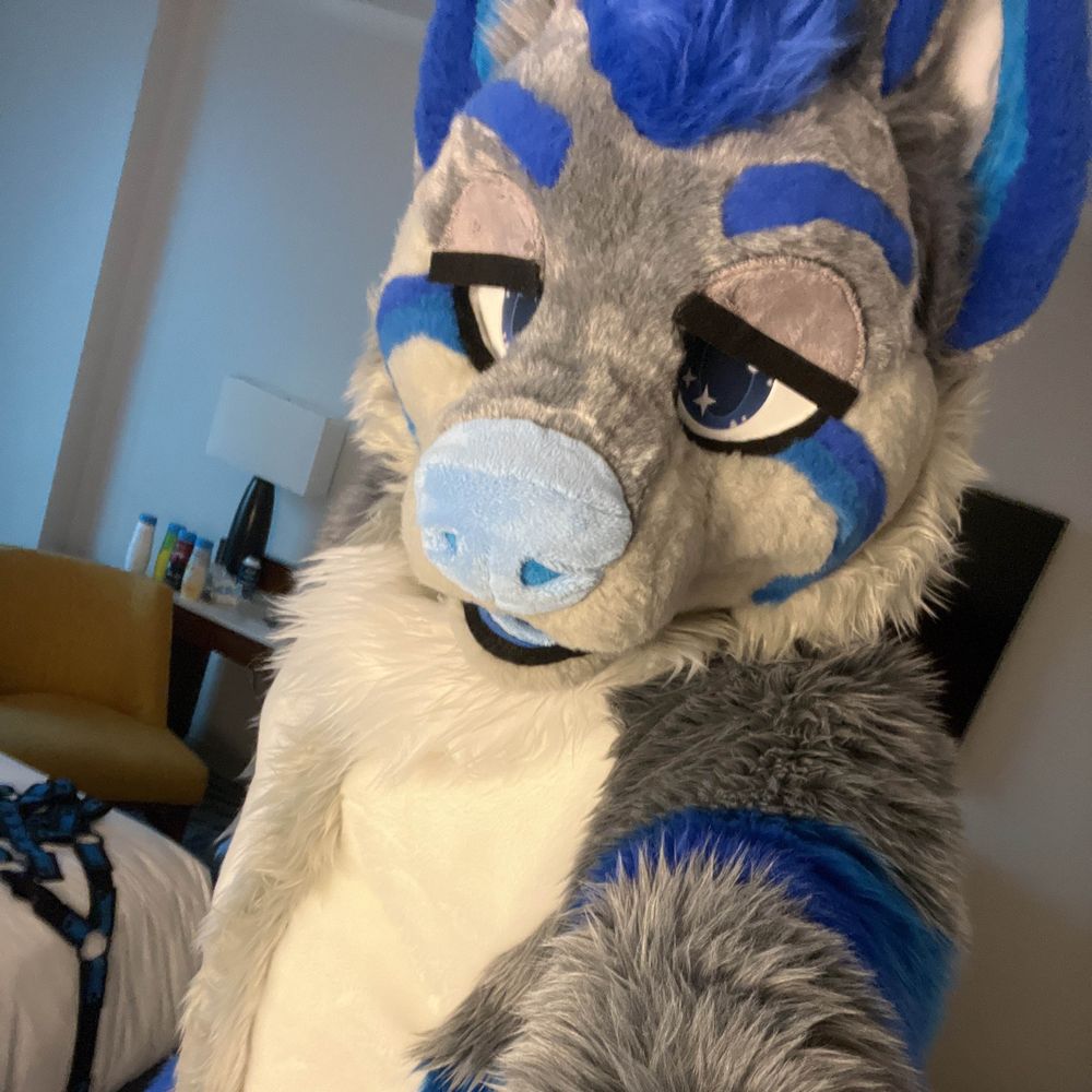 Gadget Wusky