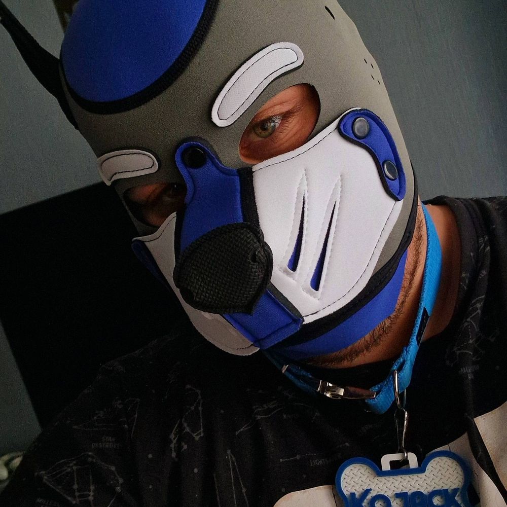 Kojack Bad Boy 