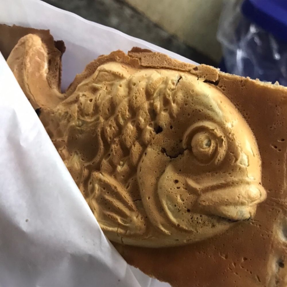 やこ