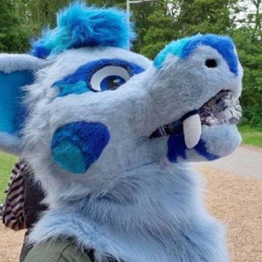Roxy Wolf Dragon