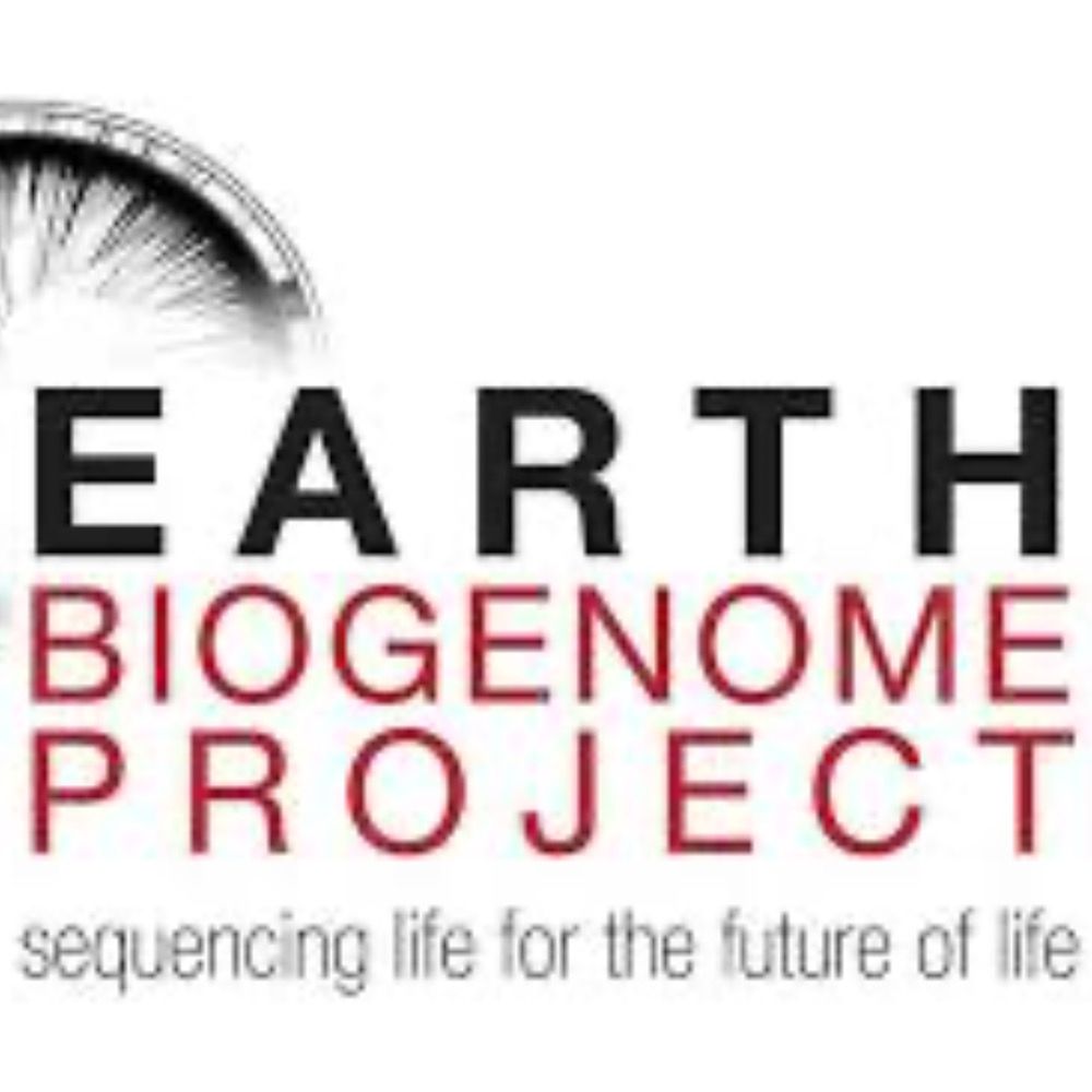 Earth BioGenome Project's avatar